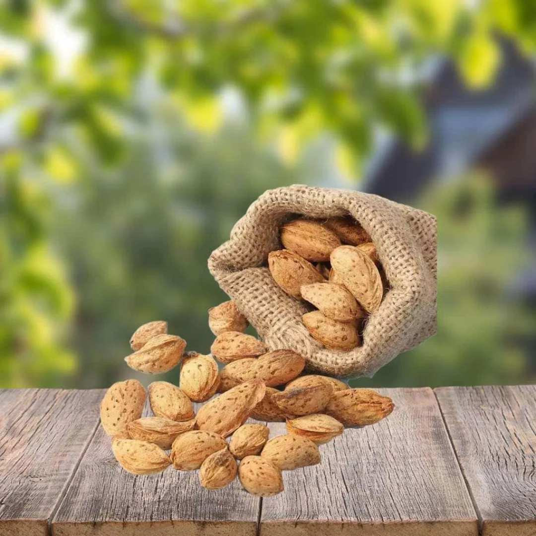 Badam Abdul Bedi, Indian – Rich in Vitamin E - Image 2
