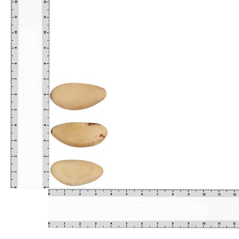 Brazil Nuts, Brazilian – Rich in Selenium - Image 7