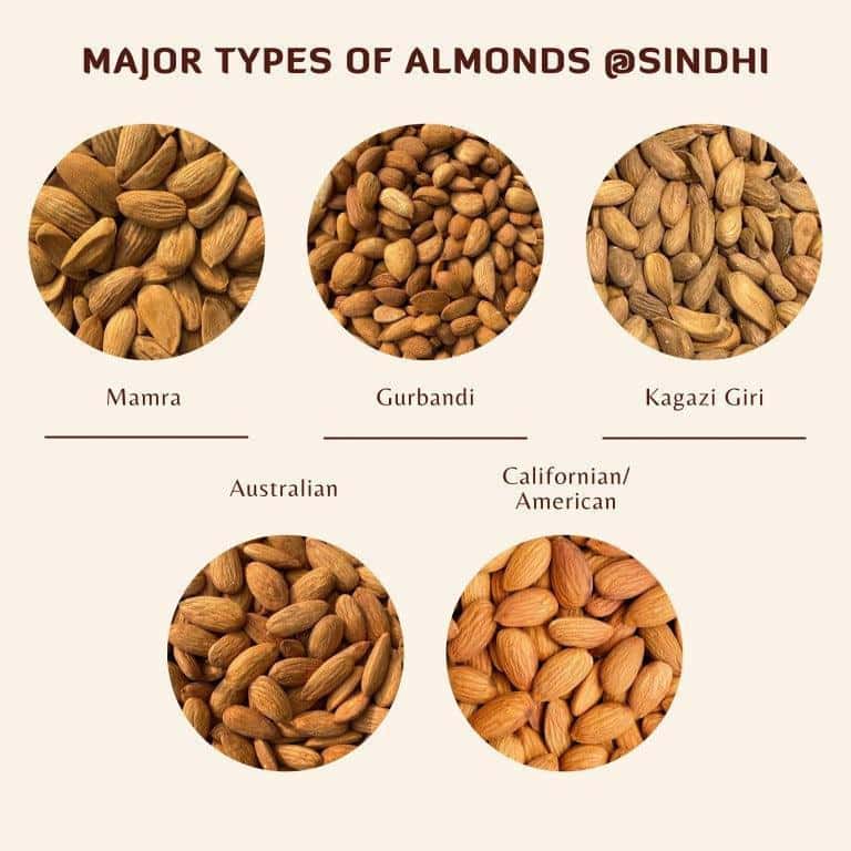 California Almonds, Badam American, USA – Rich in Vitamin E - Image 5