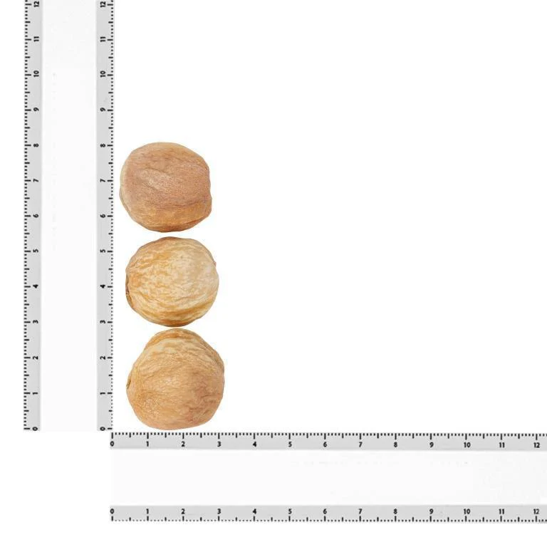 Khurmani, Dried Apricots, Turkish – Rich in Vitamin A - Image 7
