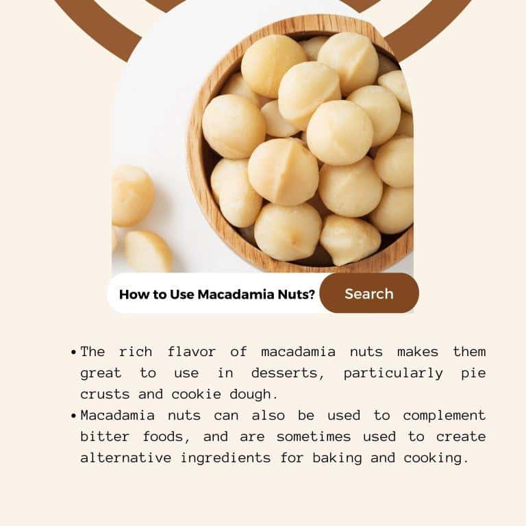 Macadamia Nuts, American – Rich in Healthy Fats - Image 4