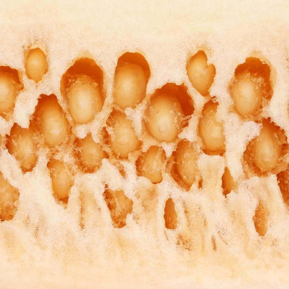 Magaz Kharbuja, Muskmelon Seeds, Indian – Rich in Protein - Image 5