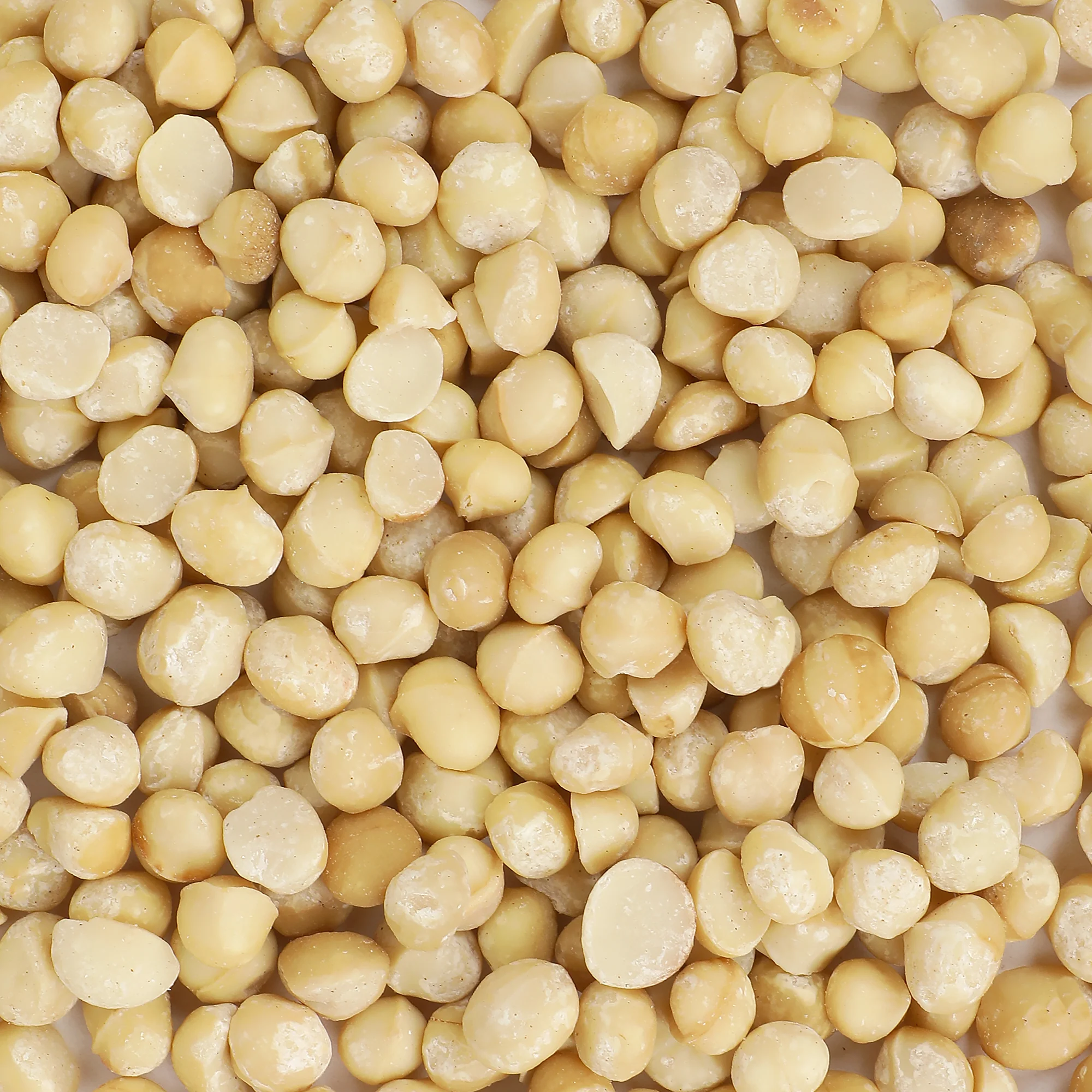 Macadamia Nuts - Image 2