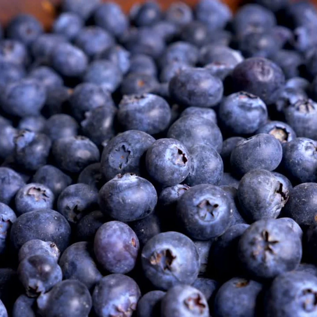 Premium Dried Blueberries – Antioxidant-Rich Superfood Berries, 100g - Image 6