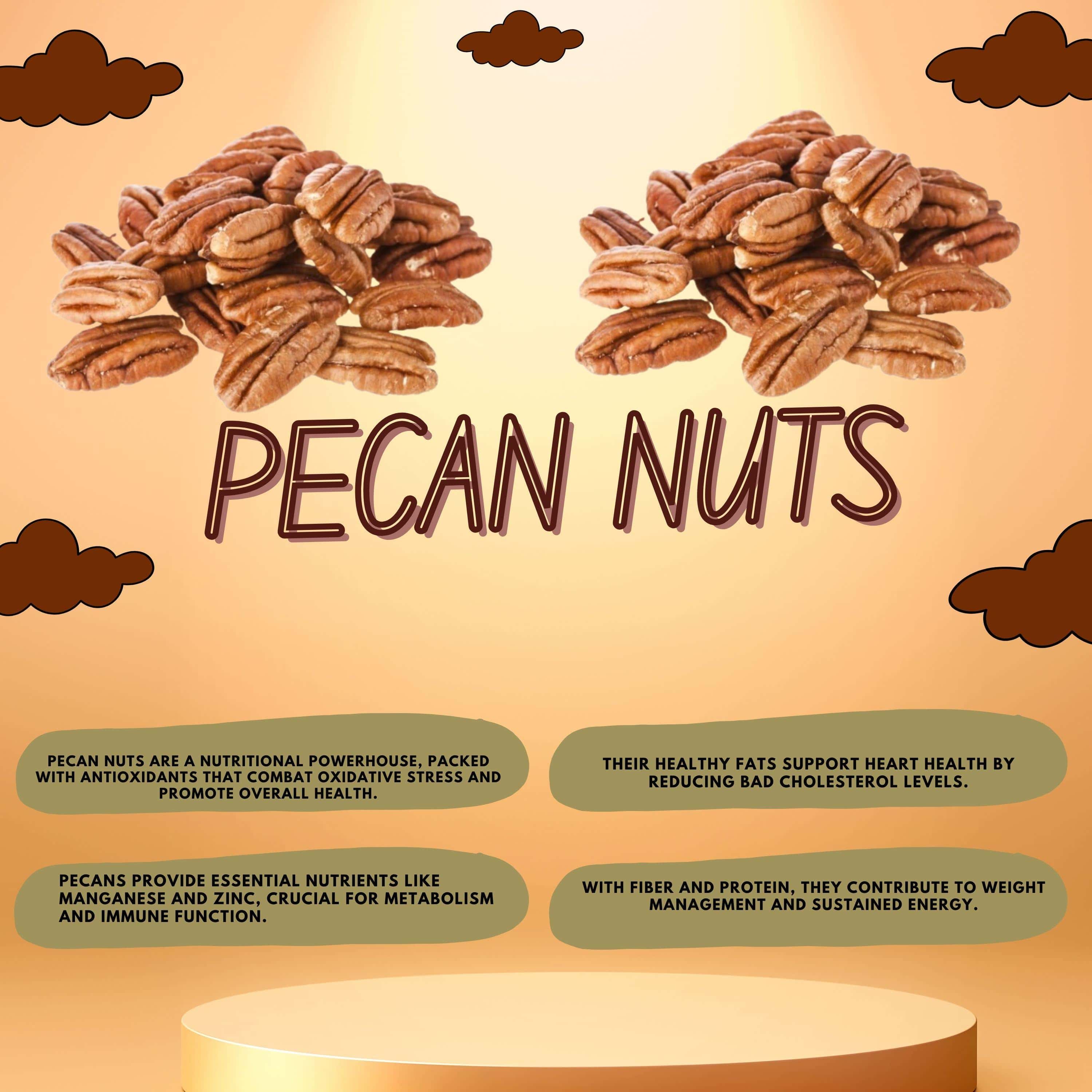 Premium Pecan Nuts – Shell-Free, Buttery & Crisp, Rich in Healthy Fats - Image 9