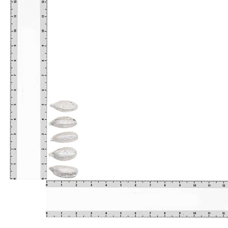 Silver Elachi - Image 7