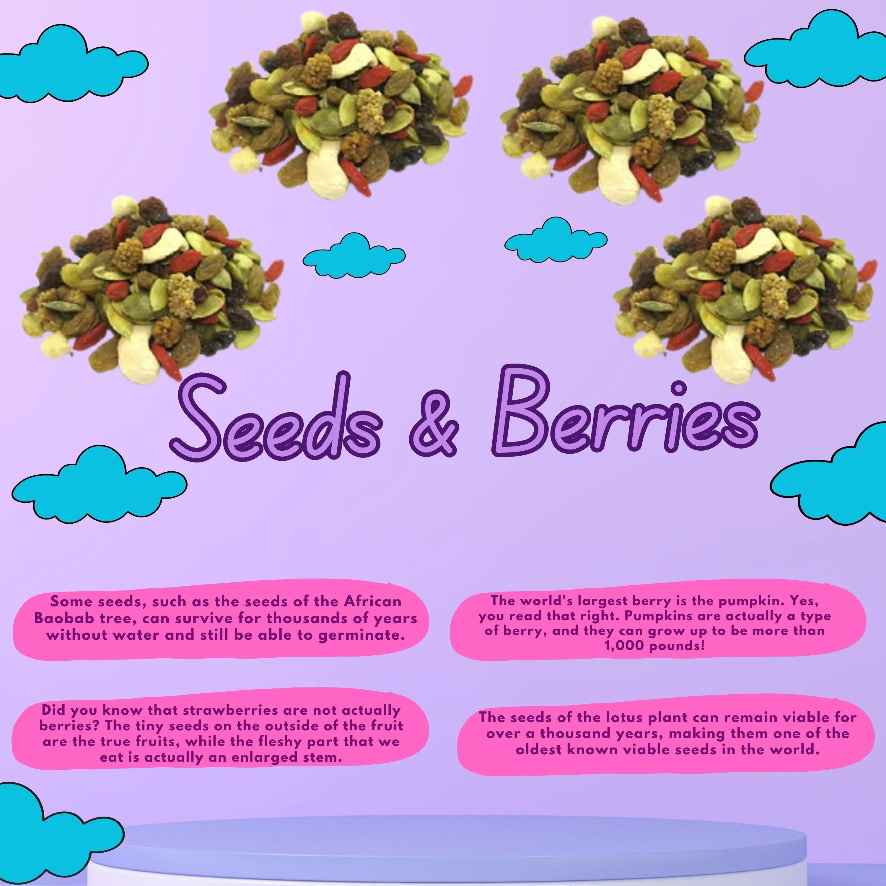 Premium Mixed Seeds & Berries – Heart-Healthy Superfood Snack Blend - Image 3
